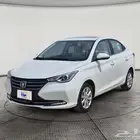 شانجان السفن Full Option 2025