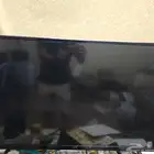 اثاث استراحة ب400 حد نهائي