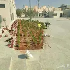 صيانة و تنفيذ اعمال الزراعه و شبكات الري