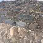 الباحه