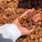 خلاص فل