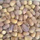 تمر رشودية