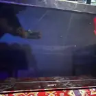 وسوني فور شاشات تلفزيون 32 بوصه سوني