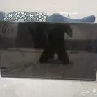 شاشه