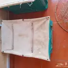 صناديق طيور