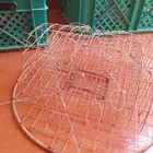 شبك صقور
