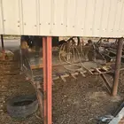 ملحقات نظيفه لمعدة البوب كات ( الحواس)