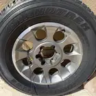 جنوط اف جي 2012 وكالة