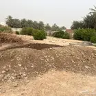 للبيع سماد بقري