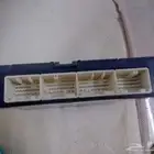 يارس