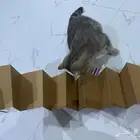 البوم ورقي