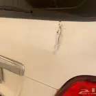 جيب لاند جي اكس ار 2006 شرط بدي محركات