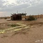 مراح كامل متكامل vip