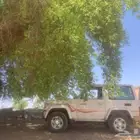 جيب ربع فل 2009