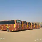 باصات صينية للبيع