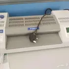 ضبا