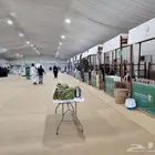 تأير خيام أوربية من اكسبولا