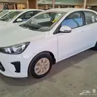 بريدة حي الجزير المعارض
