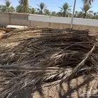 جريد نخل او عسبان للبيع