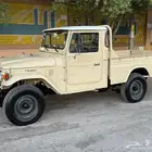 شاص مديل 1981