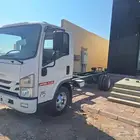 دينا ايسوزو 2025