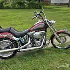 Harley softail custom 2007