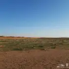 ارض زراعية خالية للاستثمار الزراعي محافظة مرات شمال الرياض
