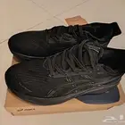 Asics nimbus 27 size 45