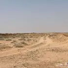 ارض زراعية في القصيم غرب مركز البسيتين