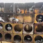 حمام باكستاني