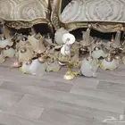 نجف للبيع بسعر رمزي