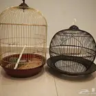 قفصين عصافير او طيور للبيع قفص