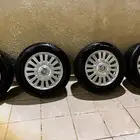 جنوط ماركيز