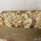 خبز علف للمواشي