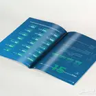 مصمم تقارير سنوية محترف جدا