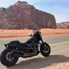 Harley Fat Bob 2021