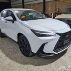 بريدة حي الجزيرة المعارض