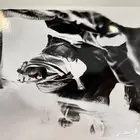 صور اثرية قديمه لمحبين الأثريات