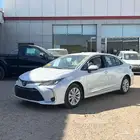 كورولا 2.0 مطور 2025 نقد وتقسيط