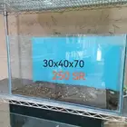 احواض سمك للبيع