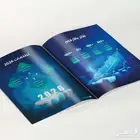 مصمم تقارير سنوية تقرير سنوي