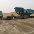 لوبد في المدينة المنورة