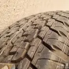 استبنة هايلوكس