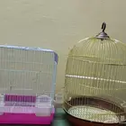 اقفاص للبيع