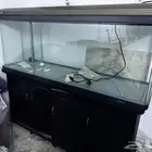 للبيع حوض جيبو بوضع جيد مع قاعدة