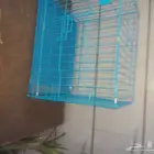قفص بس