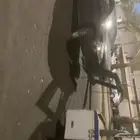 ونش علاقي وسطحه