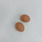 بيض دجاج صناعي وحمام وطيور صغيره