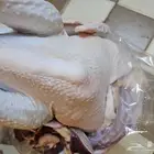 رومي ديك ذبح طازج عند.الطلب