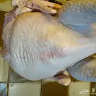 رومي ذبح طازج نصف ديك وديك.كامل